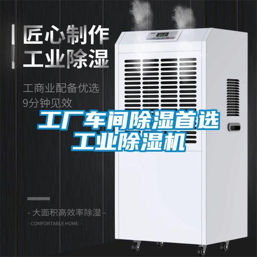 工廠車間除濕首選工業麻豆视频免费看