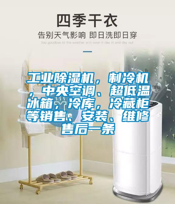 工業麻豆视频免费看，製冷機，中央空調、超低溫冰箱，冷庫，冷藏櫃等銷售、安裝、維修售後一條
