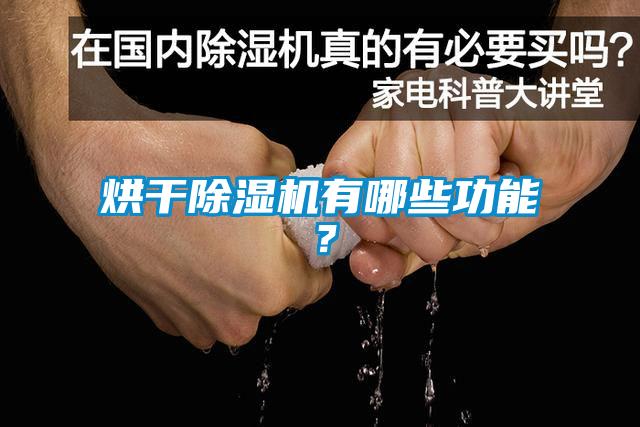 烘幹麻豆视频免费看有哪些功能？