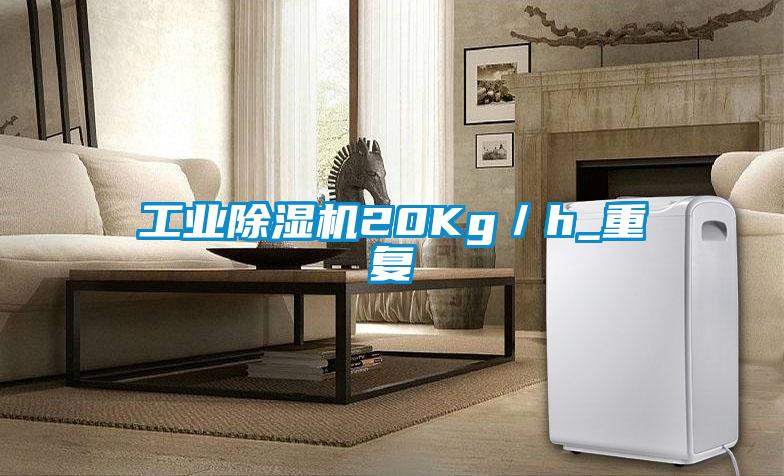 工業麻豆视频免费看20Kg／h_重複