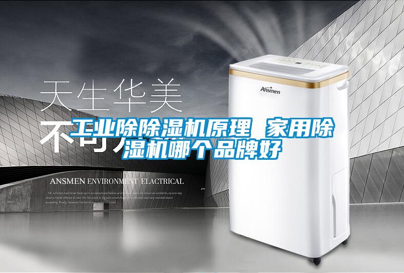 工業除麻豆视频免费看原理 家用麻豆视频免费看哪個品牌好