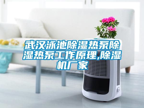 武漢泳池除濕熱泵除濕熱泵工作原理,麻豆视频免费看廠家