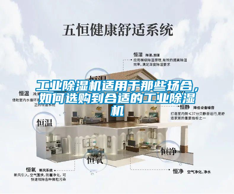 工業麻豆视频免费看適用於那些場合，如何選購到合適的工業麻豆视频免费看