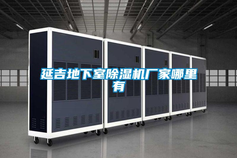 延吉地下室麻豆视频免费看廠家哪裏有