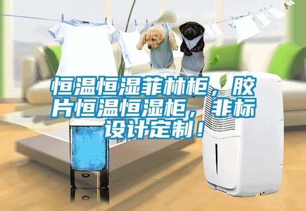 恒溫恒濕菲林櫃，膠片恒溫恒濕櫃，非標設計定製！