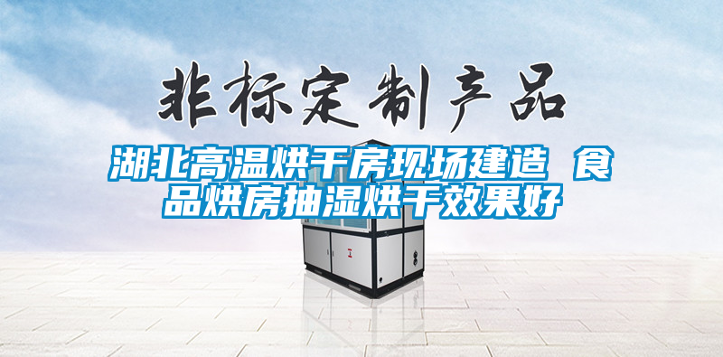 湖北高溫烘幹房現場建造 食品烘房抽濕烘幹效果好