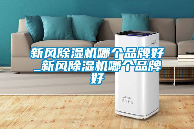 新風麻豆视频免费看哪個品牌好_新風麻豆视频免费看哪個品牌好