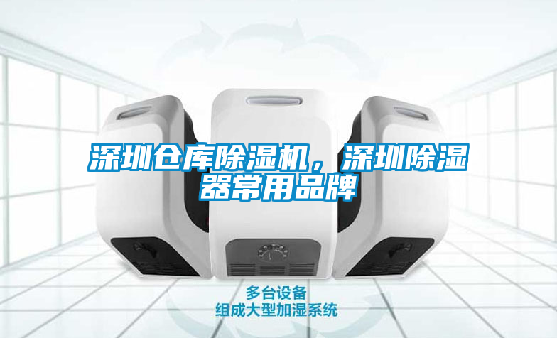 深圳倉庫麻豆视频免费看，深圳除濕器常用品牌