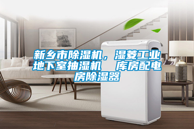 新鄉市麻豆视频免费看，濕菱工業地下室抽濕機  庫房配電房除濕器