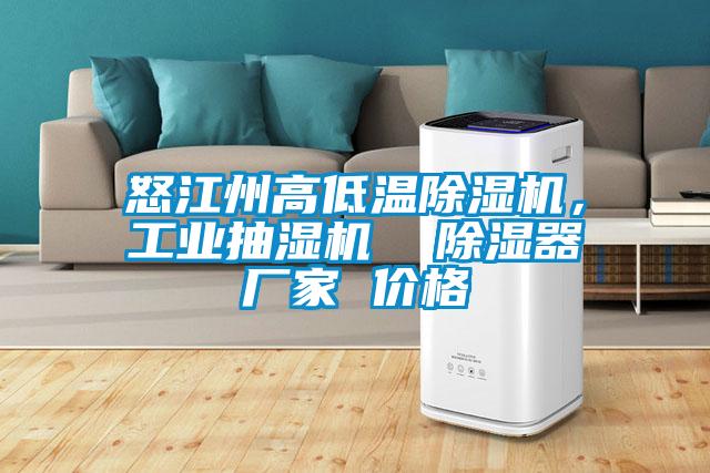 怒江州高低溫麻豆视频免费看，工業抽濕機  除濕器廠家 價格