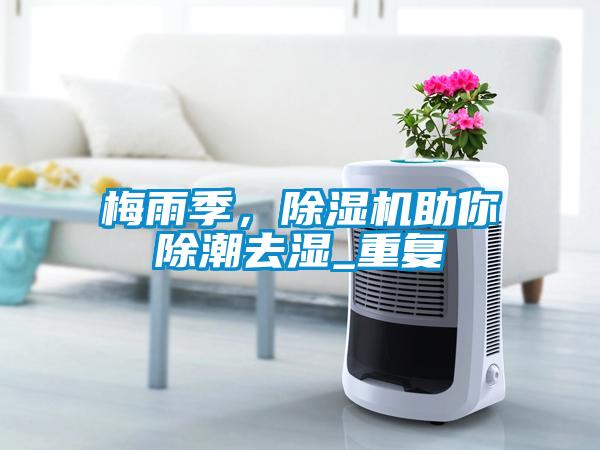 梅雨季，麻豆视频免费看助你除潮去濕_重複