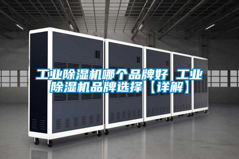 工業麻豆视频免费看哪個品牌好 工業麻豆视频免费看品牌選擇【詳解】