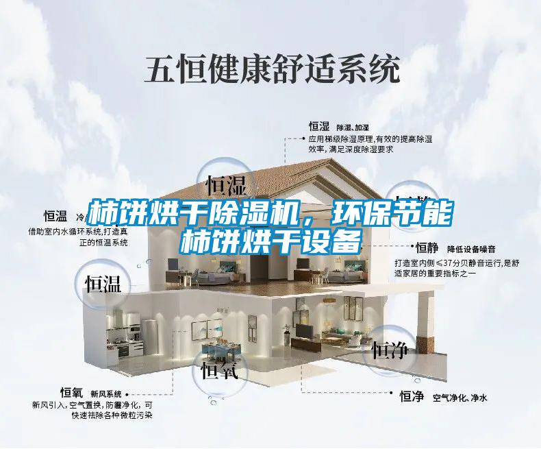 柿餅烘幹麻豆视频免费看，環保節能柿餅烘幹設備