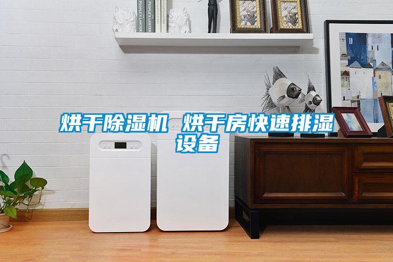 烘幹麻豆视频免费看 烘幹房快速排濕設備