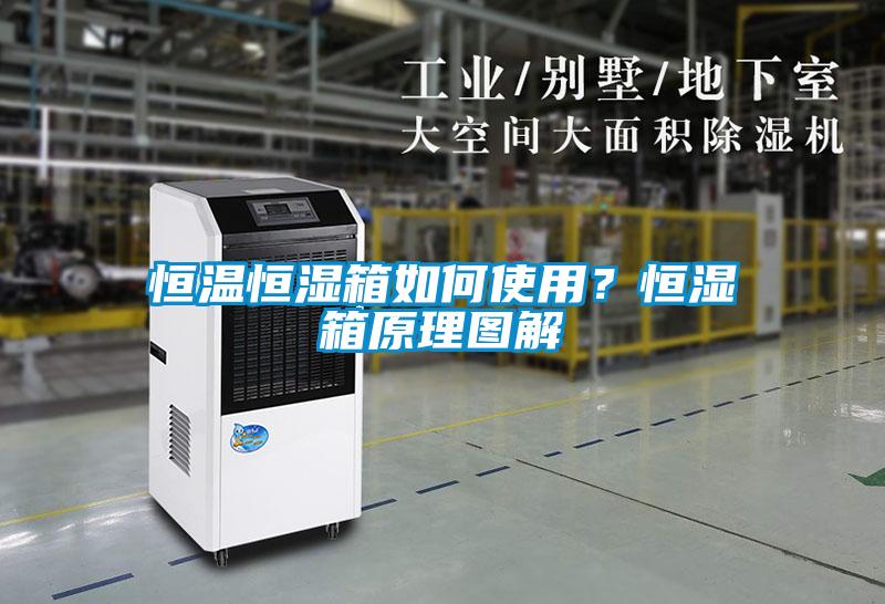 恒溫恒濕箱如何使用？恒濕箱原理圖解