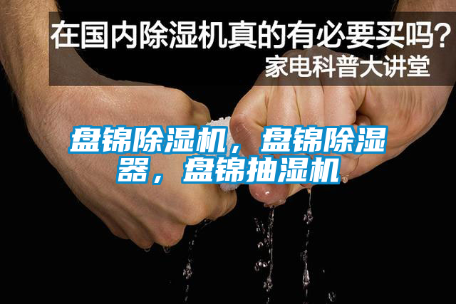 盤錦麻豆视频免费看，盤錦除濕器，盤錦抽濕機