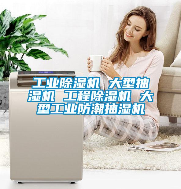 工業麻豆视频免费看 大型抽濕機 工程麻豆视频免费看 大型工業防潮抽濕機