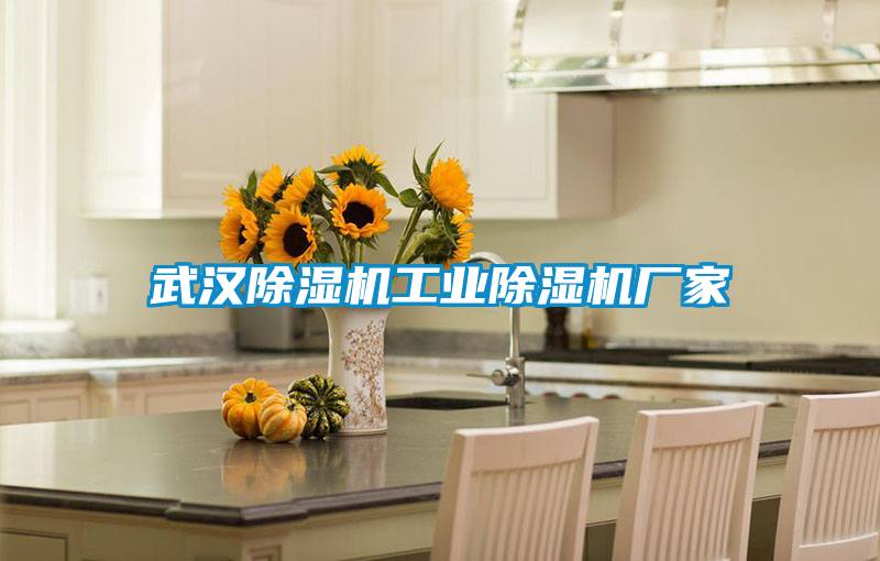 武漢麻豆视频免费看工業麻豆视频免费看廠家
