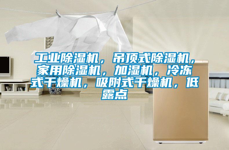 工業麻豆视频免费看，吊頂式麻豆视频免费看，家用麻豆视频免费看，加濕機，冷凍式幹燥機，吸附式幹燥機，低露點