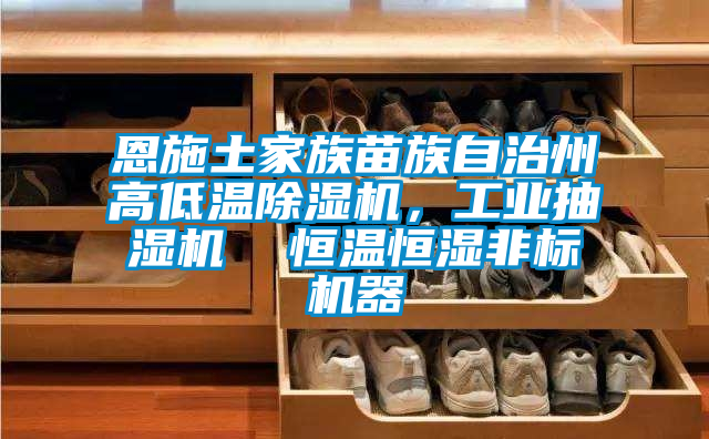 恩施土家族苗族自治州高低溫麻豆视频免费看，工業抽濕機  恒溫恒濕非標機器