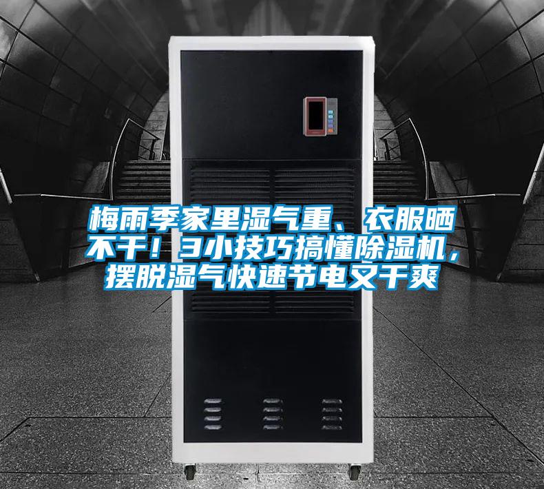 梅雨季家裏濕氣重、衣服曬不幹！3小技巧搞懂麻豆视频免费看，擺脫濕氣快速節電又幹爽