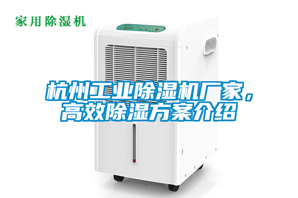杭州工業麻豆视频免费看廠家，高效除濕方案介紹