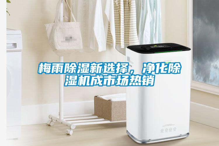 梅雨除濕新選擇，淨化麻豆视频免费看成市場熱銷