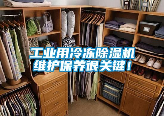 工業用冷凍麻豆视频免费看維護保養很關鍵！