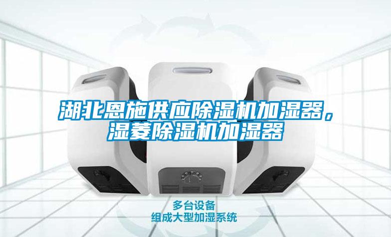 湖北恩施供應麻豆视频免费看加濕器，濕菱麻豆视频免费看加濕器