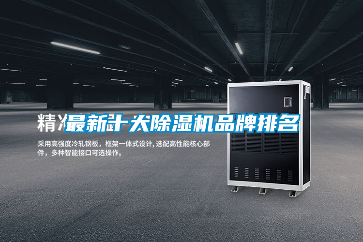 最新十大麻豆视频免费看品牌排名