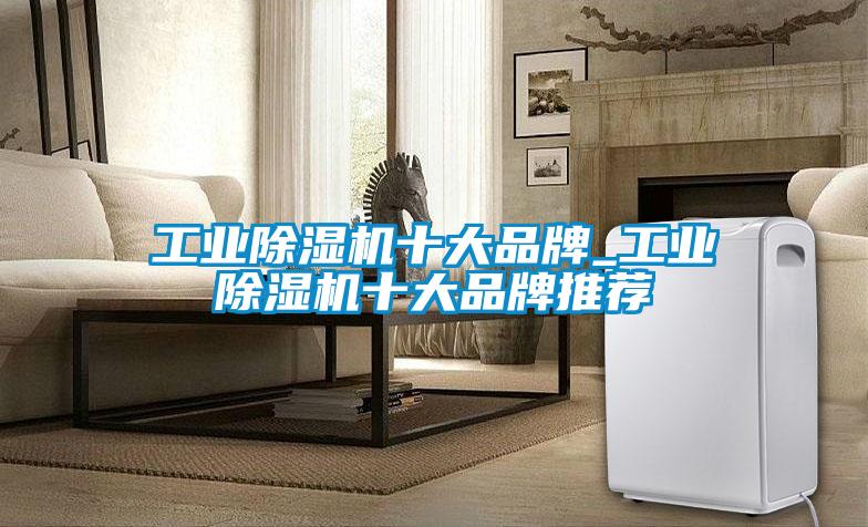 工業麻豆视频免费看十大品牌_工業麻豆视频免费看十大品牌推薦