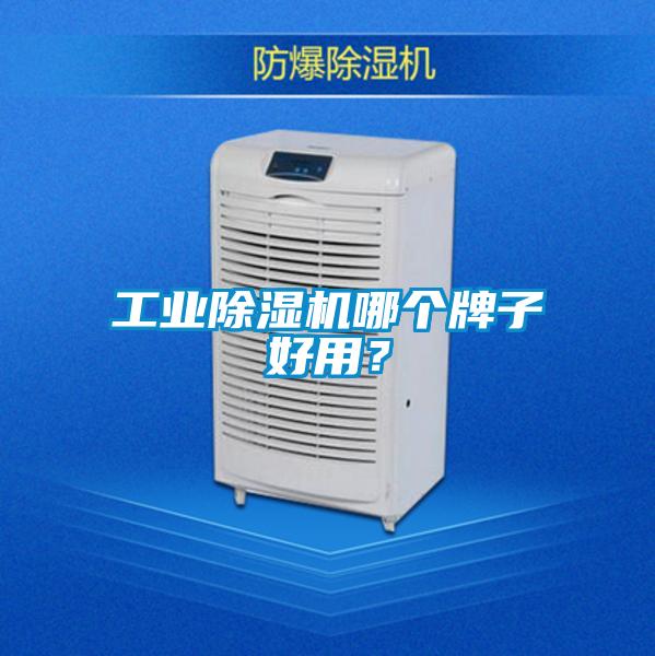 工業麻豆视频免费看哪個牌子好用？