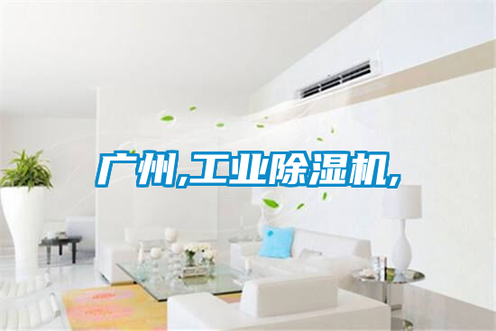 廣州,工業麻豆视频免费看,