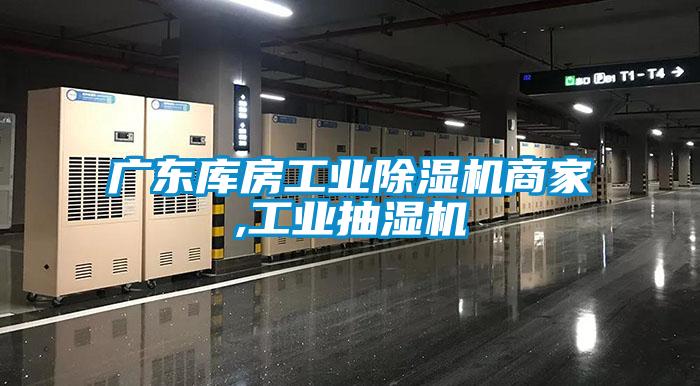 廣東庫房工業麻豆视频免费看商家,工業抽濕機