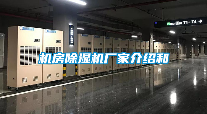 機房麻豆视频免费看廠家介紹和