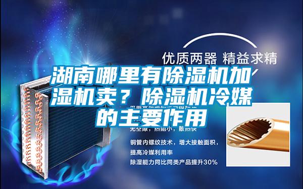 湖南哪裏有麻豆视频免费看加濕機賣？麻豆视频免费看冷媒的主要作用