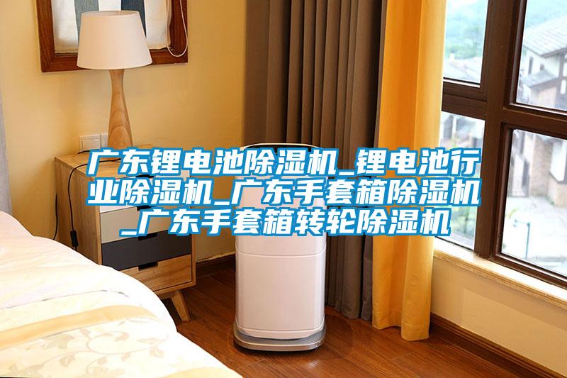 廣東鋰電池麻豆视频免费看_鋰電池行業麻豆视频免费看_廣東手套箱麻豆视频免费看_廣東手套箱轉輪麻豆视频免费看