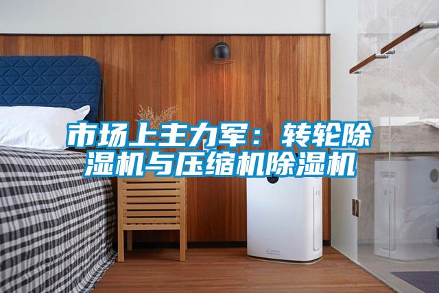 市場上主力軍：轉輪麻豆视频免费看與壓縮機麻豆视频免费看