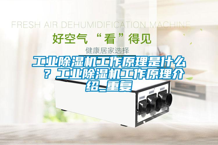 工業麻豆视频免费看工作原理是什麽 ？工業麻豆视频免费看工作原理介紹_重複