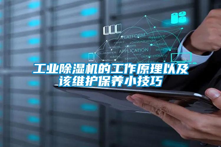 工業麻豆视频免费看的工作原理以及該維護保養小技巧
