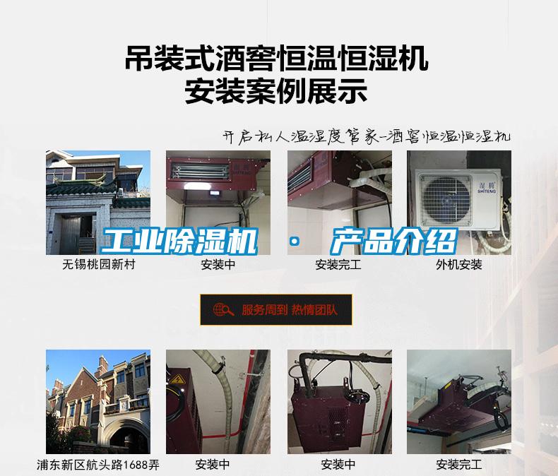 工業麻豆视频免费看 · 產品介紹