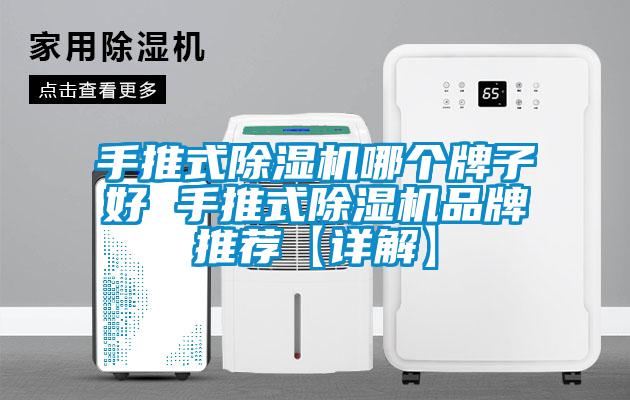 手推式麻豆视频免费看哪個牌子好 手推式麻豆视频免费看品牌推薦【詳解】