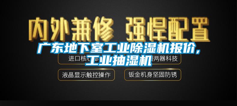 廣東地下室工業麻豆视频免费看報價,工業抽濕機