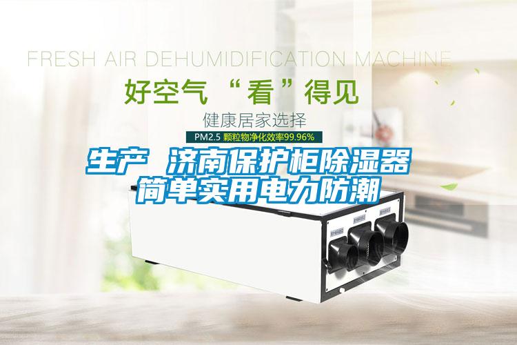 生產 濟南保護櫃除濕器 簡單實用電力防潮