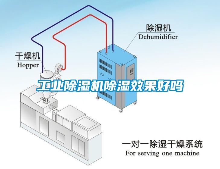 工業麻豆视频免费看除濕效果好嗎