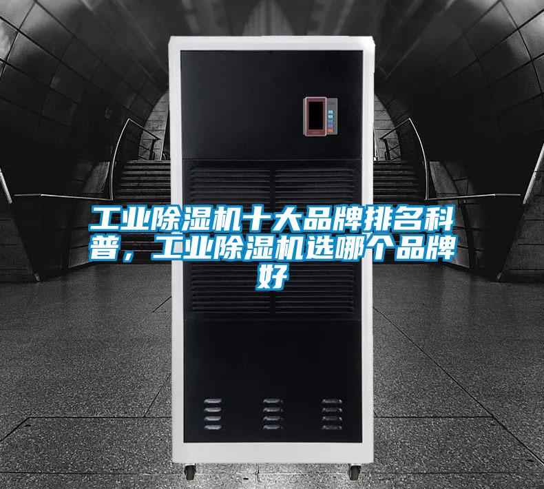 工業麻豆视频免费看十大品牌排名科普，工業麻豆视频免费看選哪個品牌好