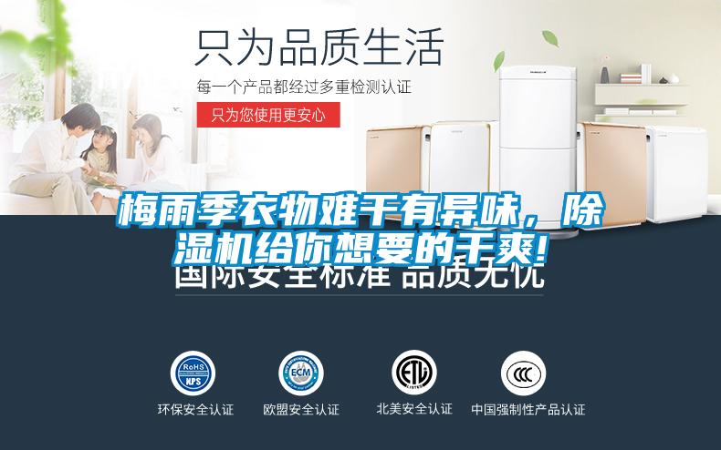 梅雨季衣物難幹有異味，麻豆视频免费看給你想要的幹爽!