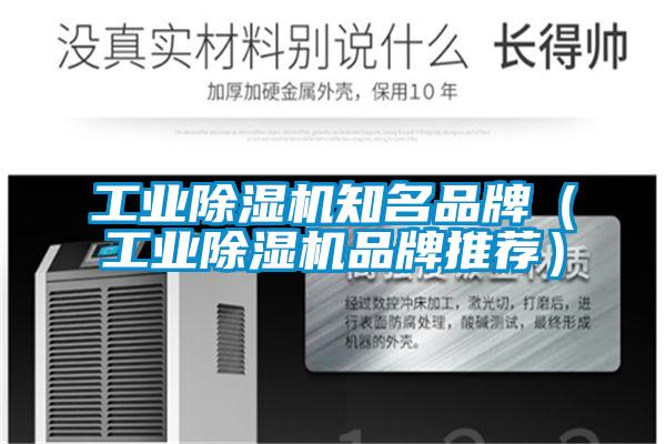 工業麻豆视频免费看知名品牌（工業麻豆视频免费看品牌推薦）