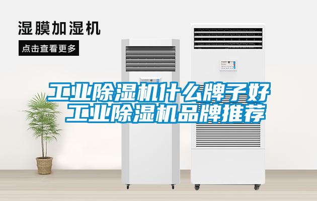 工業麻豆视频免费看什麽牌子好 工業麻豆视频免费看品牌推薦