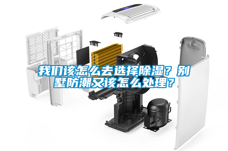麻豆AV免费网站在线观看該怎麽去選擇除濕？別墅防潮又該怎麽處理？